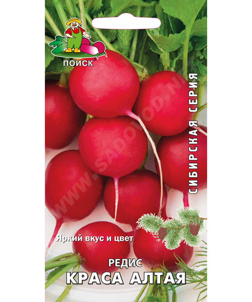 Редис Краса Алтая семена 