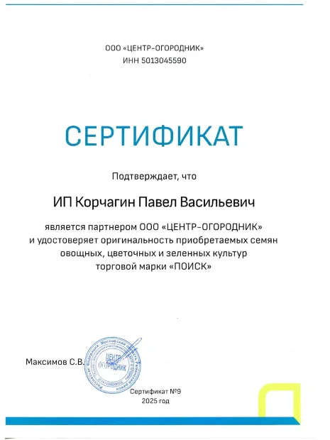 Петуния крупноцветковая Танго Розовая с белой звездой семена