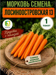 Морковь Лосиноостровская 13 Морковь Лосиноостровская 13