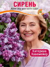 Сирень Катерина Хавемейер (обыкновенная) Сирень Катерина Хавемейер (обыкновенная)