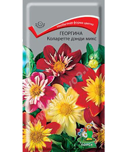 Георгина Коларетте Денди Микс