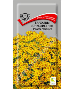 Бархатцы тонколистные Золотой Самоцвет