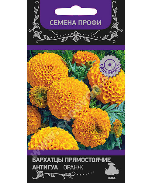 Бархатцы прямостоячие Антигуа Оранж семена