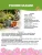 Астра Кассель (кустарниковая) 