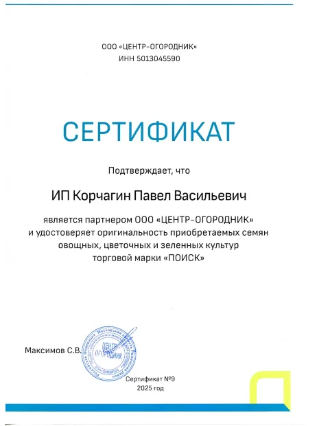 Свекла Витаминка семена 