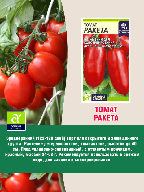Томат Ракета семена 