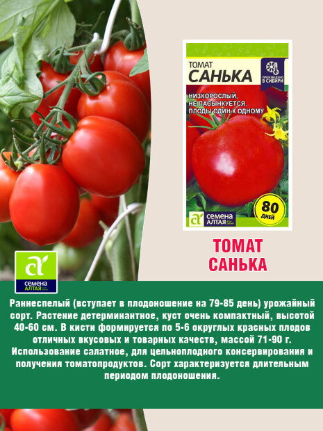 Томат Санька семена 