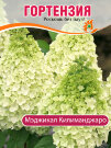 Гортензия Мэджикал Килиманджаро (метельчатая) Гортензия Мэджикал Килиманджаро (метельчатая)